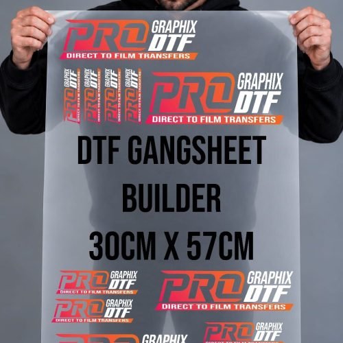 DTF gang sheet, 30 cm x 57 cm, held up to camera